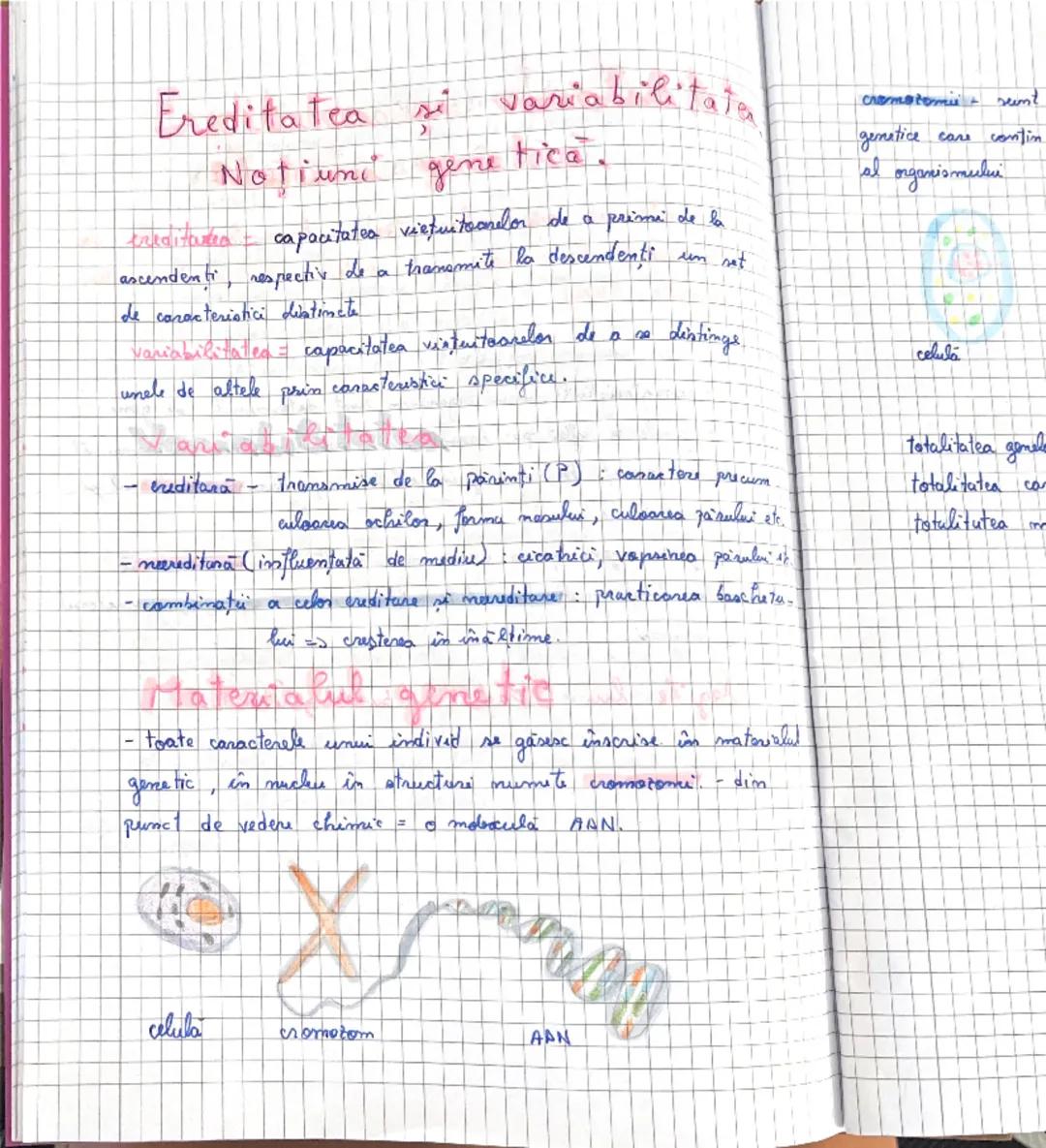 Ereditatea și variabilitatea- Notiuni genetica