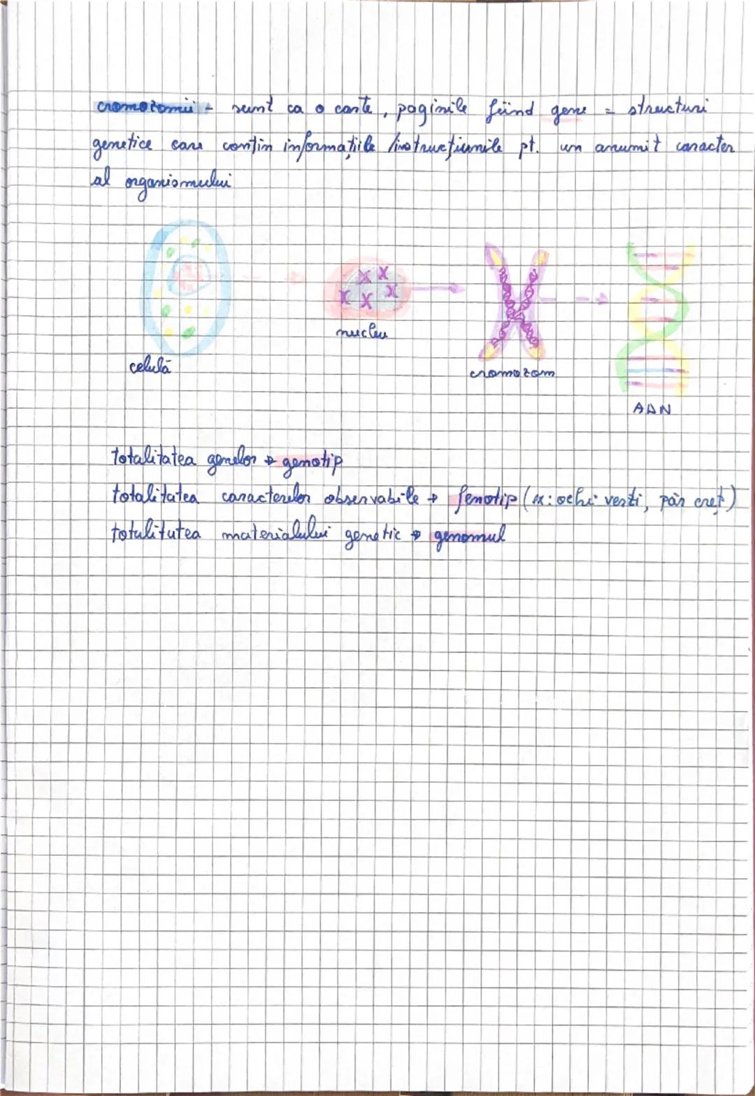 # Ereditatea 																					 si variabilitatea
# Notiuni genetice

ereditatea = capacitatea vietuitoarelor de a primi de la
acestori, 