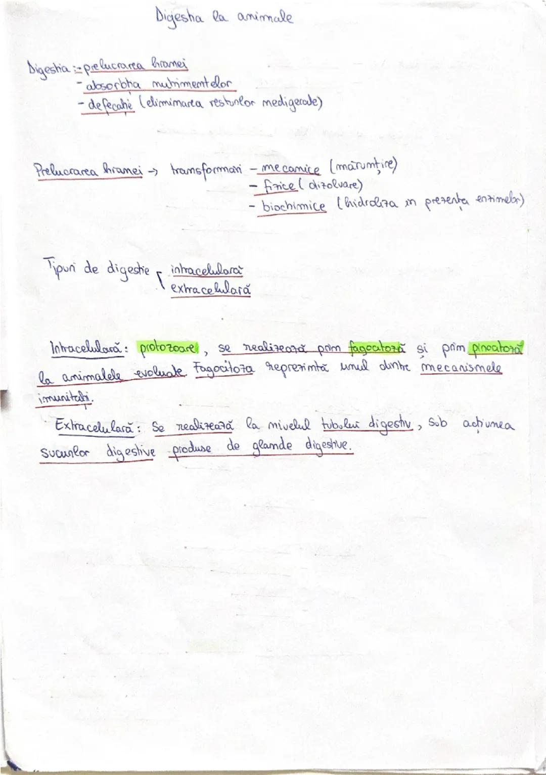 Digestha la animale
Digestia :prelucrarea hranei
- absorbtia nutrimentelor
- defecatie (eliminarea resturilor nedigerate)
Prelucrarea hranei