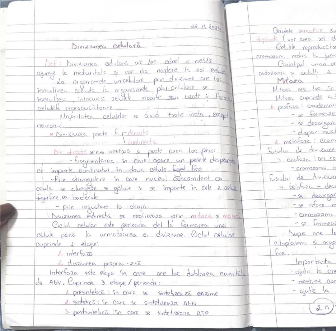 Diviziunea celulară 