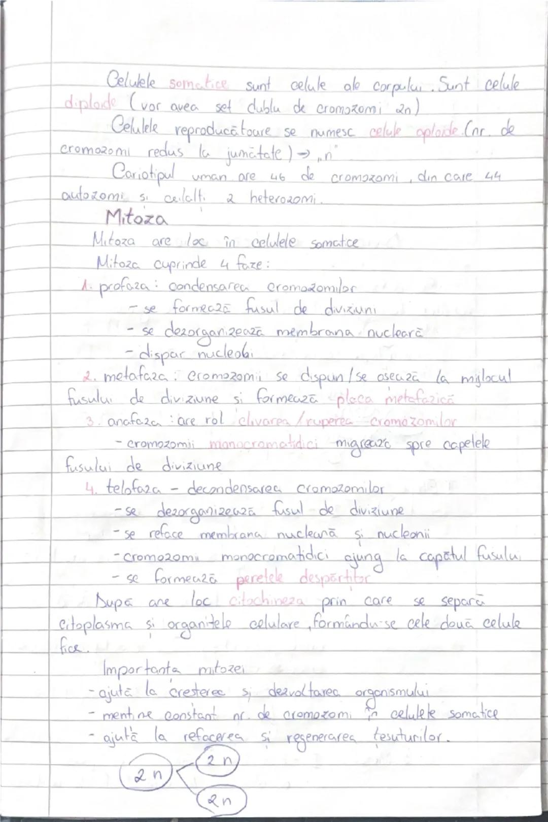# 22. M. 2024

Diviziunea celulară

Def: Diviziunea celulară are loc când o celulă
ajunge la maturitate şi vrea do naştere la noi celule
la 