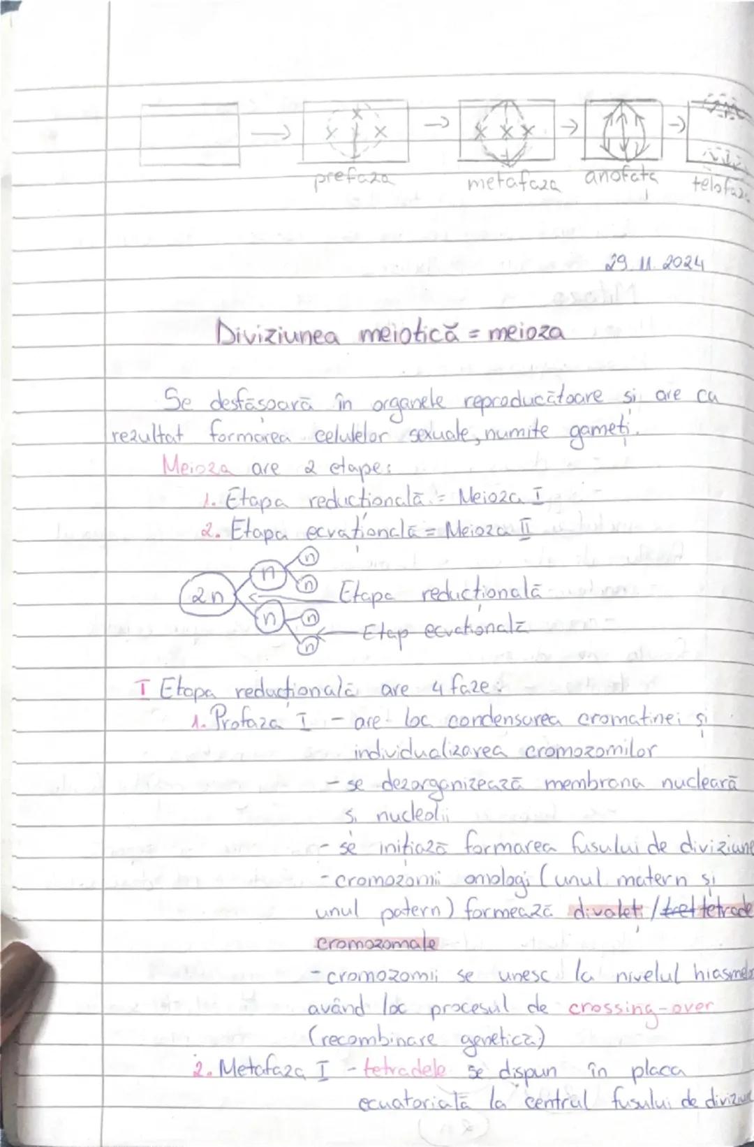# 22. M. 2024

Diviziunea celulară

Def: Diviziunea celulară are loc când o celulă
ajunge la maturitate şi vrea do naştere la noi celule
la 