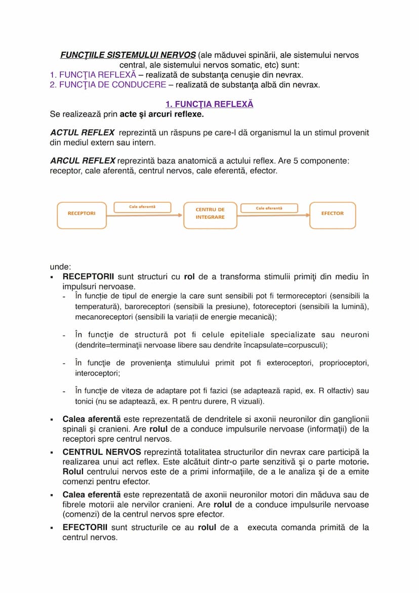 # Sistemul nervos
Este alcătuit din totalitatea organelor care integrează și
procesează informațiile venite din mediu.
Sistemul nervos are l