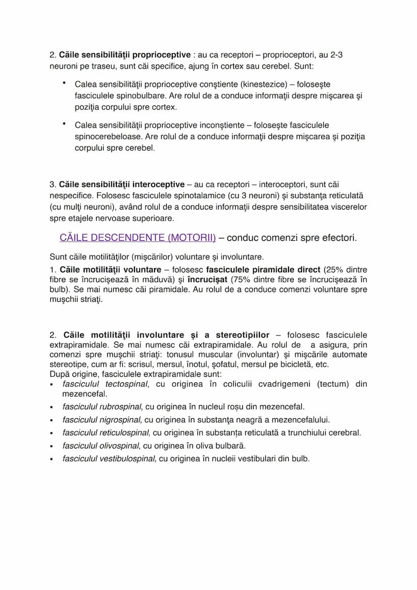 # Sistemul nervos
Este alcătuit din totalitatea organelor care integrează și
procesează informațiile venite din mediu.
Sistemul nervos are l