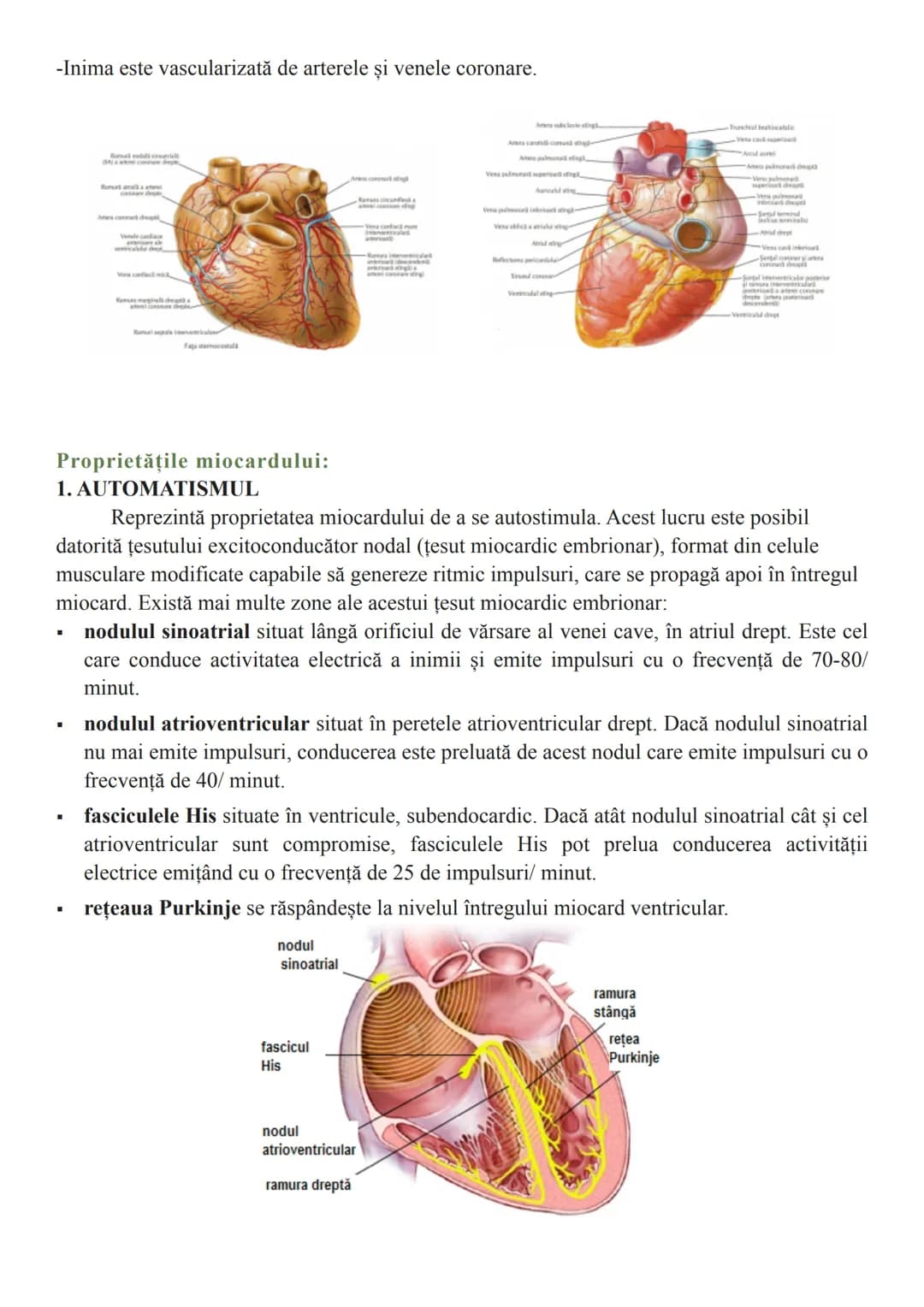 # Sistemul circulator
Sistemul circulator reprezintă totalitatea organelor care asigură transportul sângelui
prin întregul corp. Este alcătu
