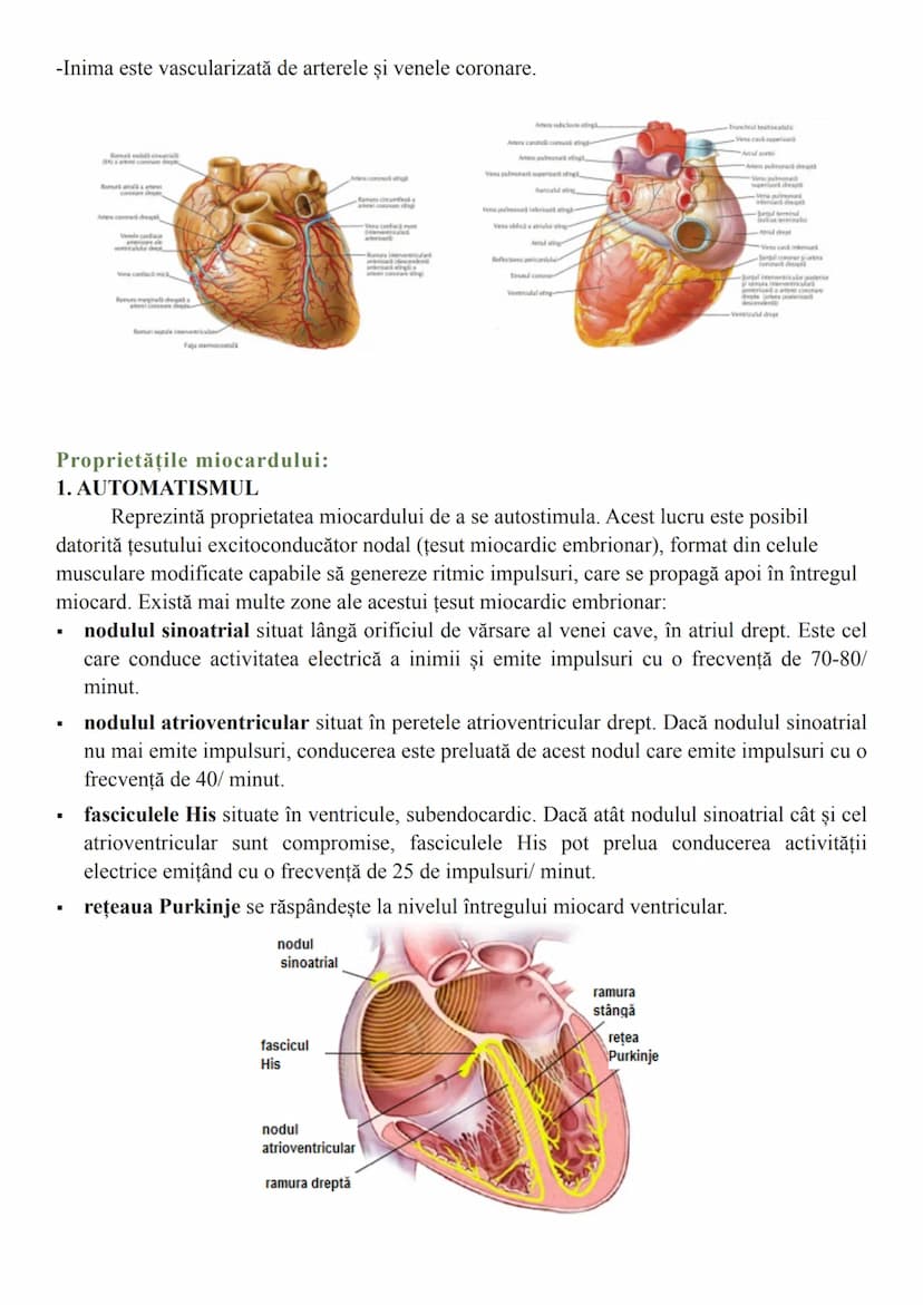 # Sistemul circulator
Sistemul circulator reprezintă totalitatea organelor care asigură transportul sângelui
prin întregul corp. Este alcătu