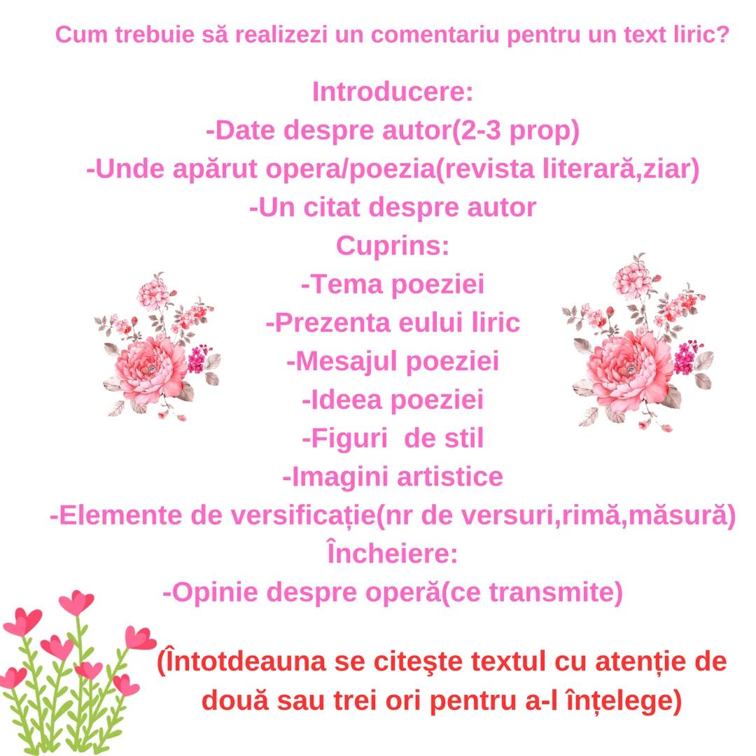 # Comentariul unui text

liric

Evaluare Națională 2024 Cum trebuie să realizezi un comentariu pentru un text liric?
Introducere:
-Date desp