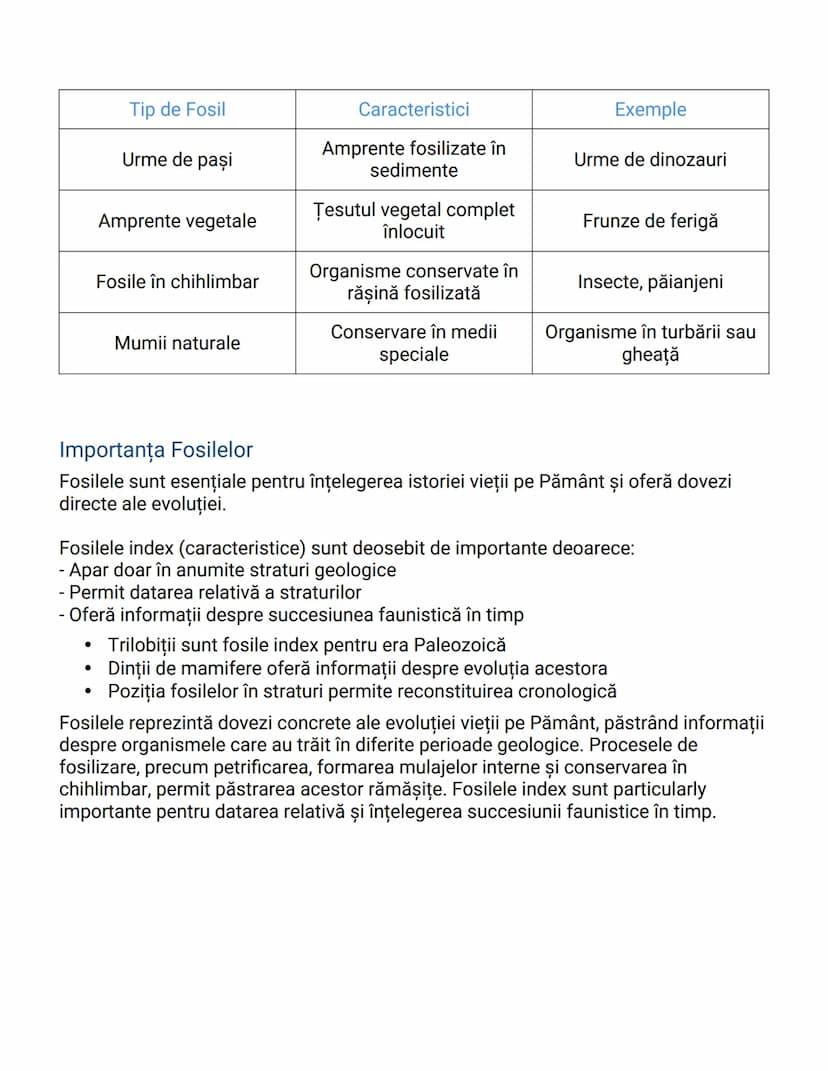 --- OCR Start ---
Fosilele - Dovezi ale Evoluţiei
Introducere în Studiul Fosilelor
Fosilele sunt rămășițe sau urme ale organismelor din timp