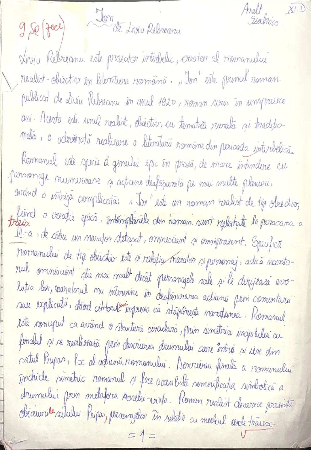 Ion - Eseu de Nota 10 pentru Elevi