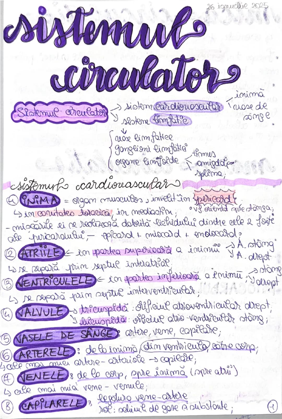 # Sistemul circulator

26 iunue 2025

Sistemul circulator → sistem cardiovascular  → inimă
                                          vase de