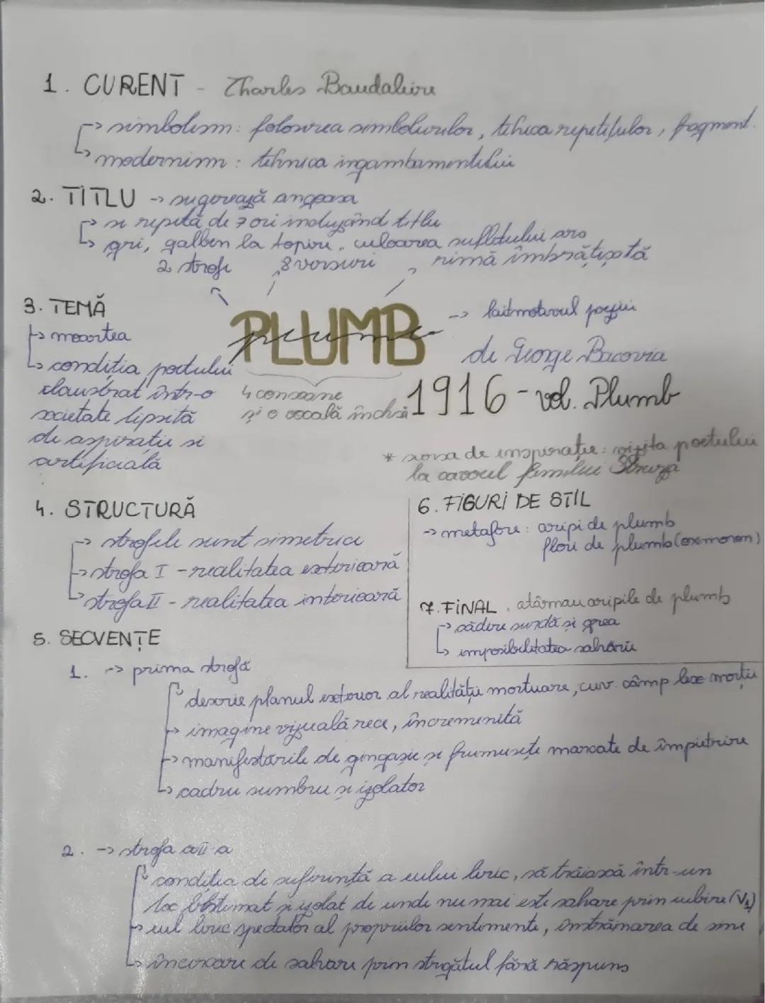 Plumb - Schema Eseului Structurată