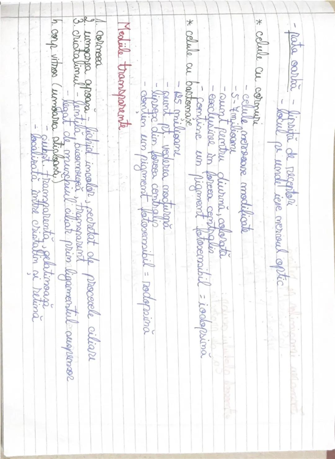 --- OCR Start ---
ORGANELE DE SIMŢ
etmalizatorii = sisteme morfofunctionale
- 3 segmente periferic (receptor) - receptionează informaţiile =