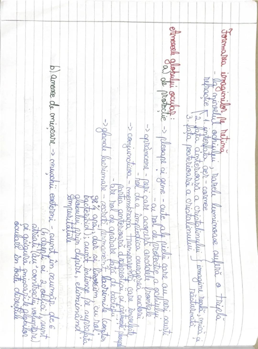 --- OCR Start ---
ORGANELE DE SIMŢ
etmalizatorii = sisteme morfofunctionale
- 3 segmente periferic (receptor) - receptionează informaţiile =