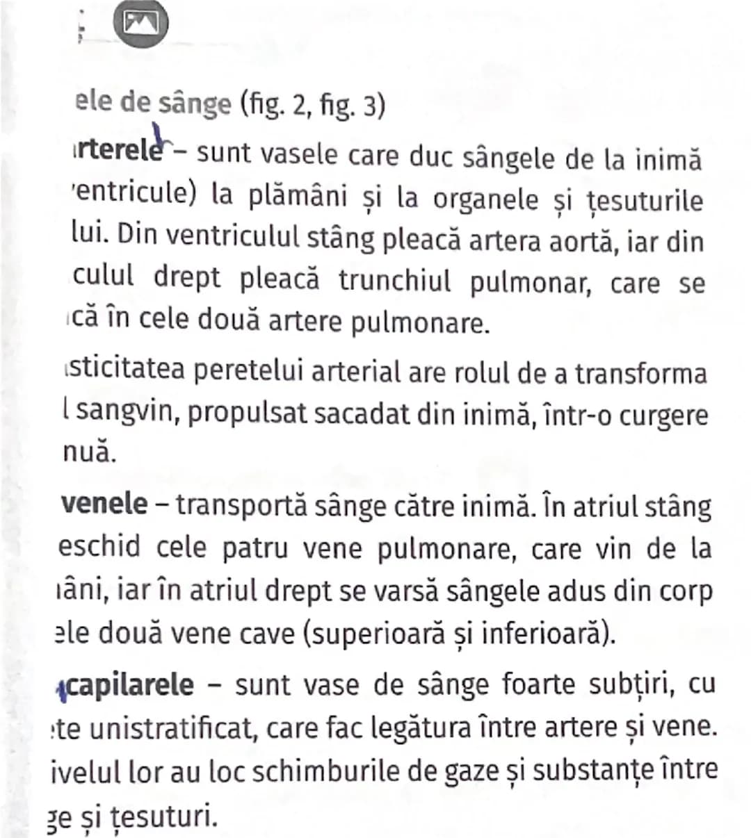 # Valvule
semilunare

# Artera pulmonară

# Atriu drept

# Ventricul drept

# Venă cavă

# Structura internă a inimii

# Venă cavă

# Artera