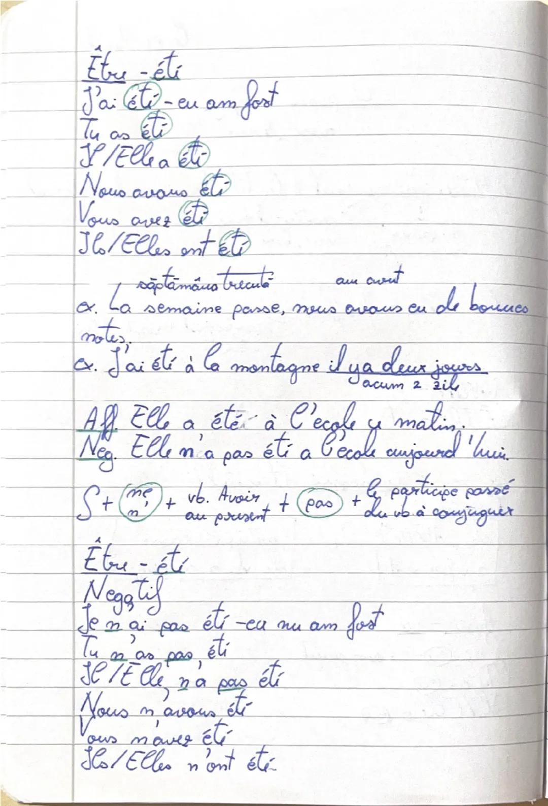Ce 14 Avril

Le passé composé
avec Avoir

1. Hier, j'ai eu mal à la titi. Covoir mal= a durea)

   vb. avoir
   au present
   participiul tr