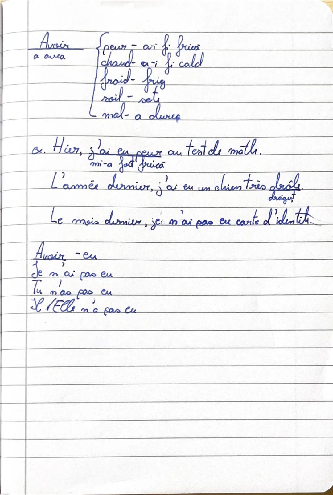 Ce 14 Avril

Le passé composé
avec Avoir

1. Hier, j'ai eu mal à la titi. Covoir mal= a durea)

   vb. avoir
   au present
   participiul tr