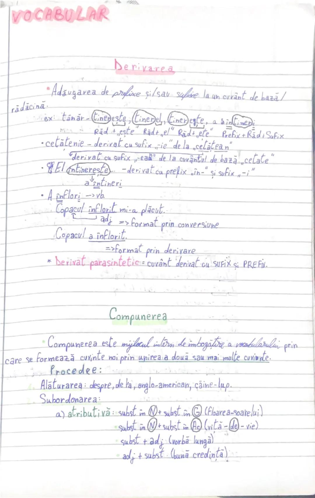 Ce este vocabularul: Termeni şi definiţii importante