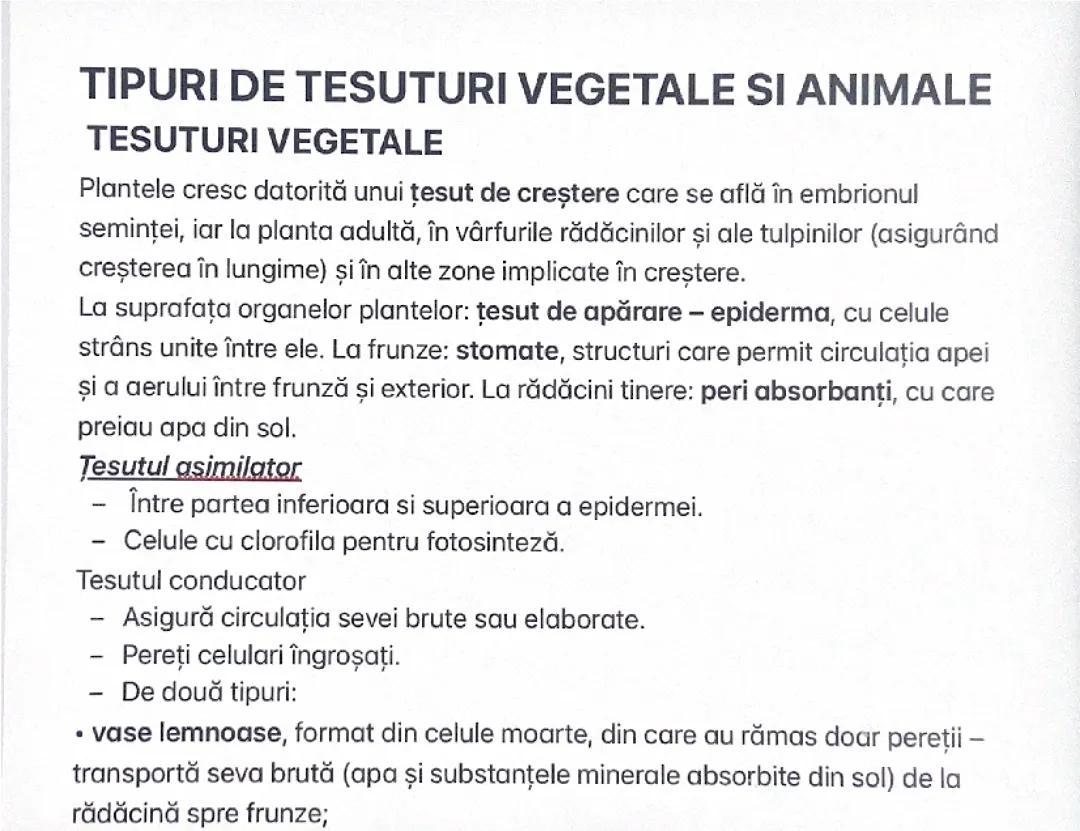 Tipuri de țesuturi vegetale și animale