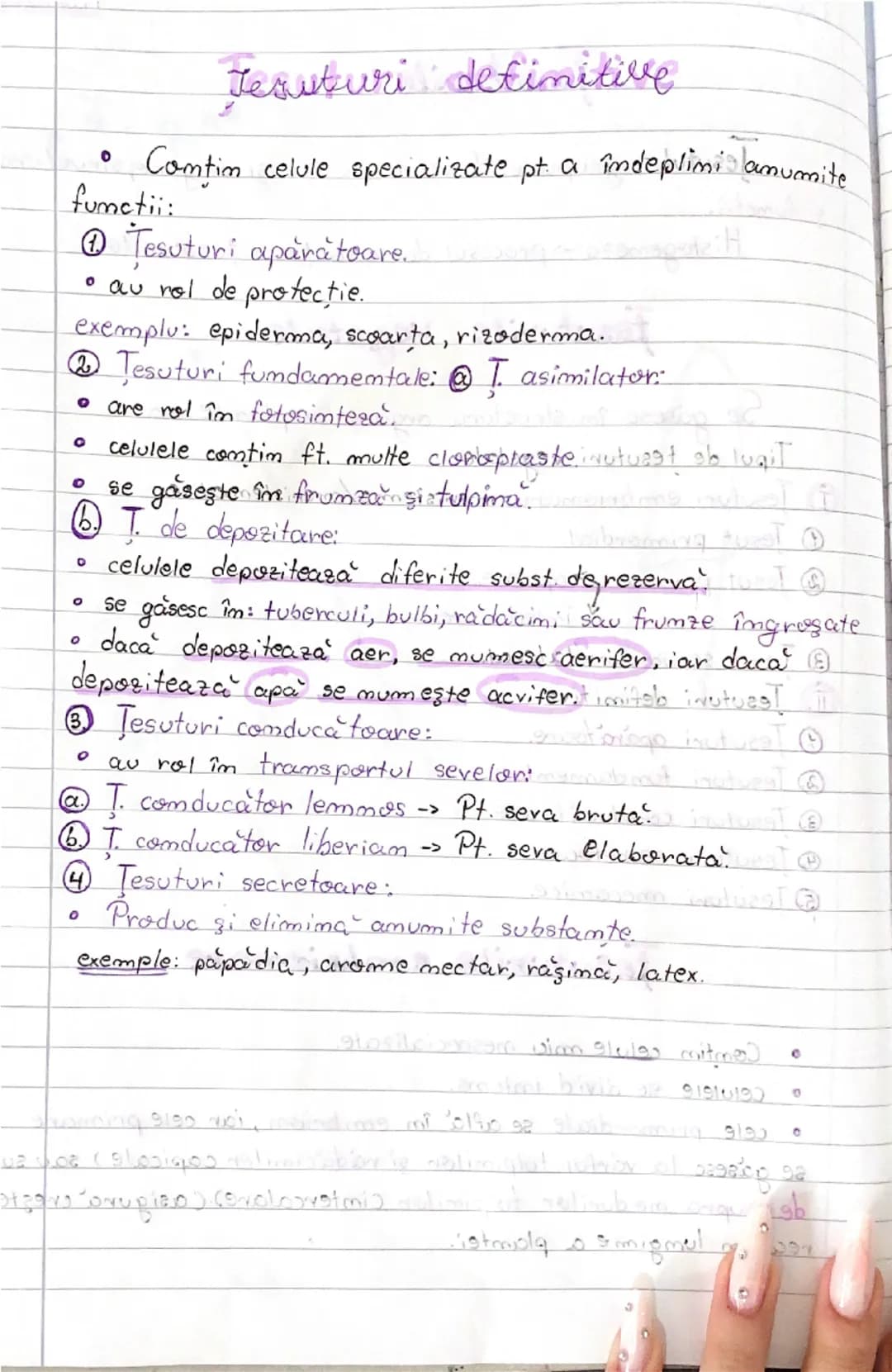 --- OCR Start ---
Cap I. Tesuturile
Jesuturile
17.09.2024.
Jesutul, grupane de cetute cu aceeaşi origime, structură
şi fumctii.
Histogemeza 