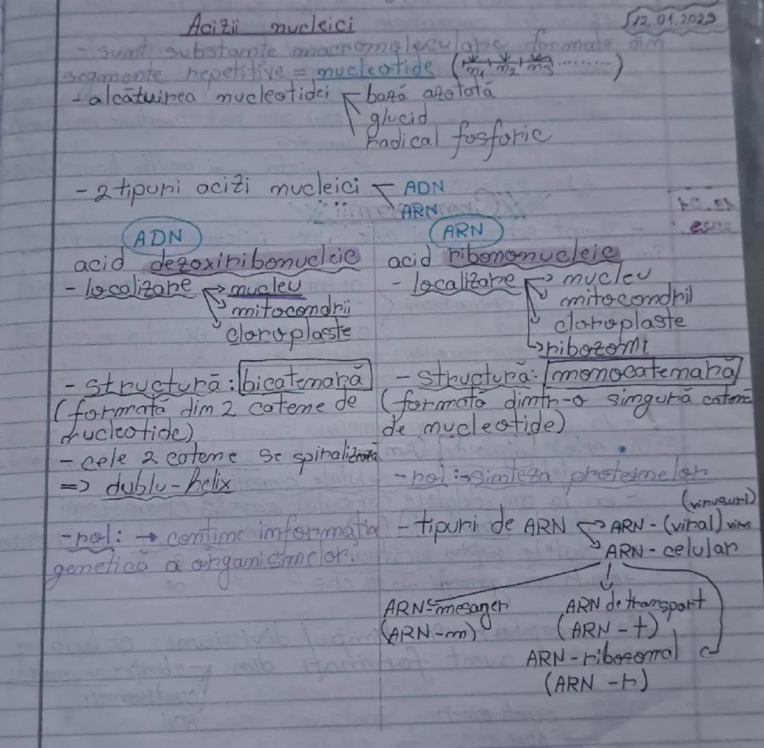 # Acizii nucleici
-sunt substanțe macromoleculare formate din...
segmente repetitive = nucleotide ($\frac{n}{2}$)
-alcătuirea nucleotidelor: