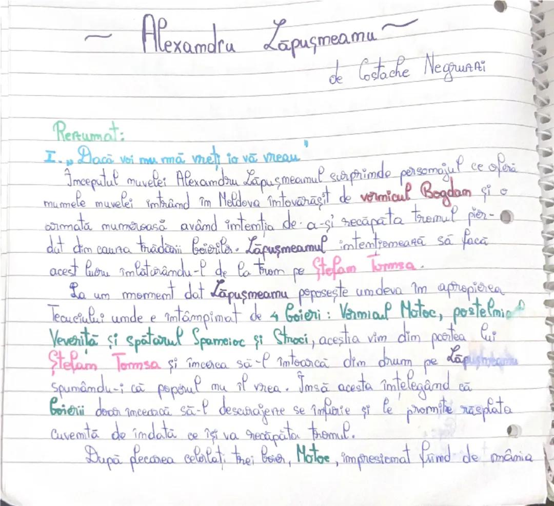 Alexandru Lăpușneanu – Rezumat detaliat pe capitole și schițe personaj