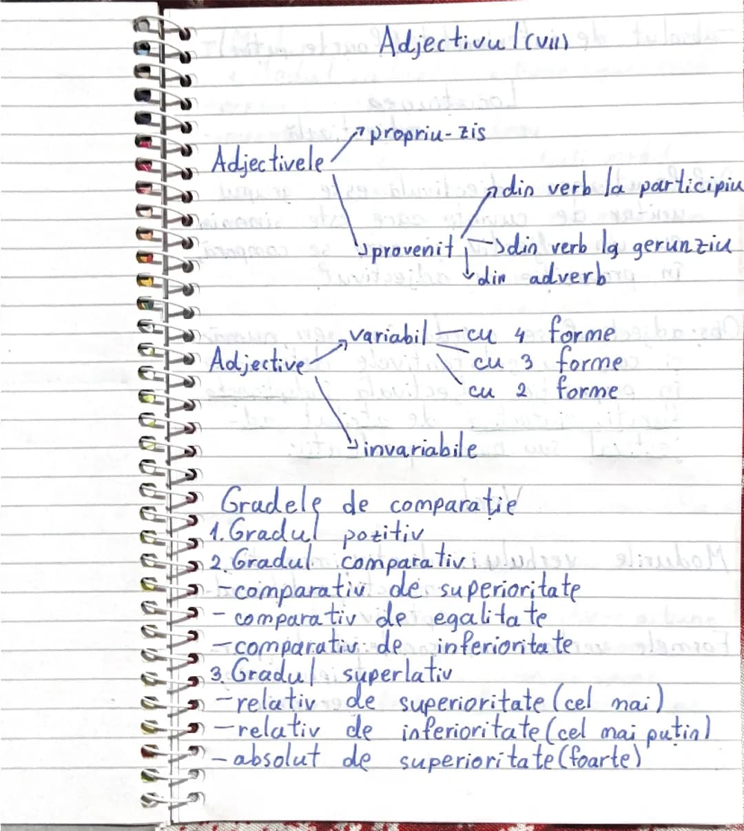 Clasa 7