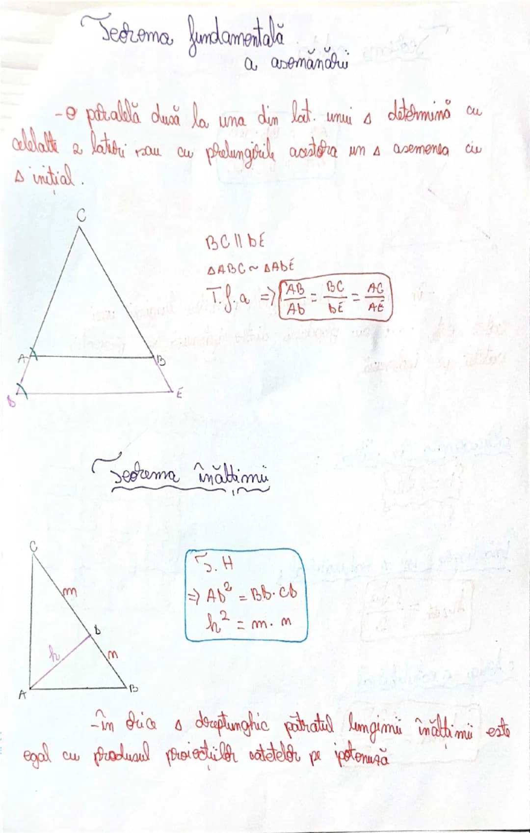 # Formule

Algebra:

Mărimi direct proporționale (d. p)
$\{x, y, z\}$ d.p $\{a, b, c\}$
$\implies \frac{x}{a} = \frac{y}{b} = \frac{z}{c} = 