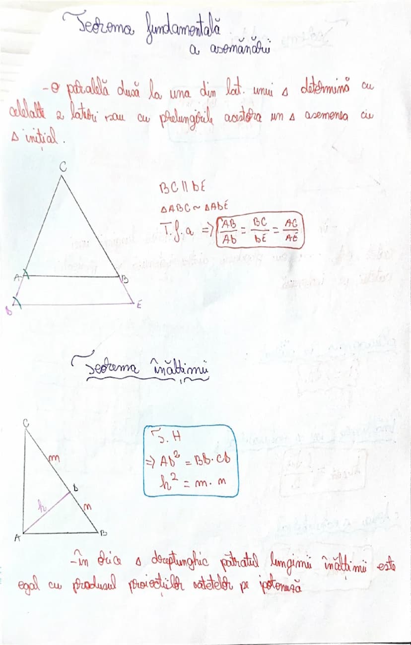 # Formule

Algebra:

Mărimi direct proporționale (d. p)
$\{x, y, z\}$ d.p $\{a, b, c\}$
$\implies \frac{x}{a} = \frac{y}{b} = \frac{z}{c} = 