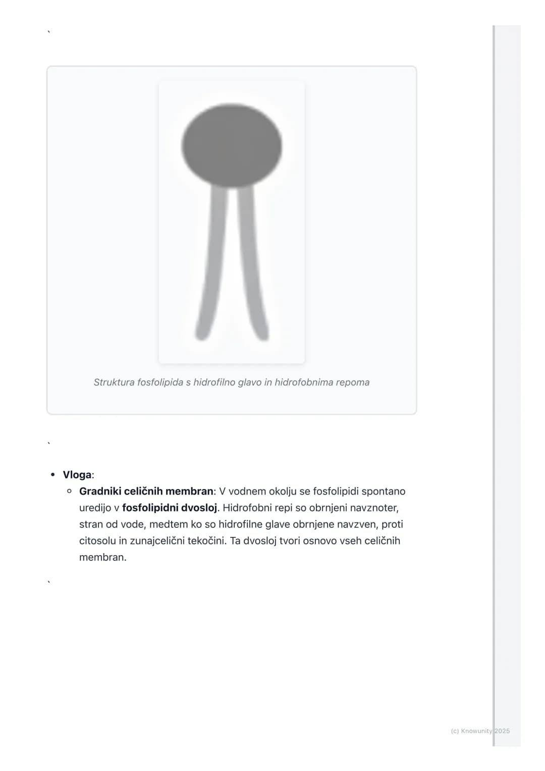 # Lipidi

Splošni pregled lipidov

Lipidi so velika in raznolika skupina organskih molekul, ki so značilne predvsem
po svoji hidrofobnosti s