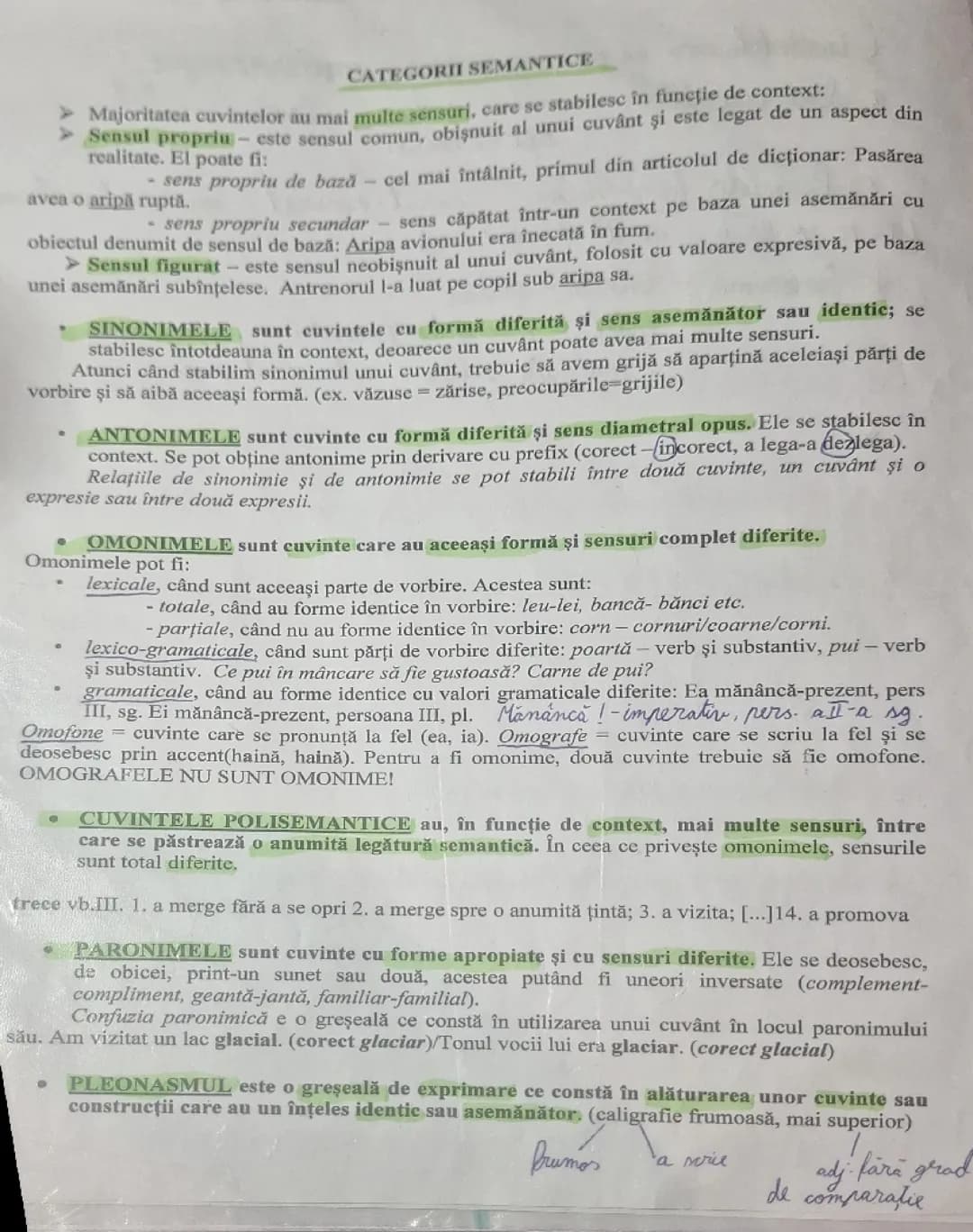 Categorii semantice