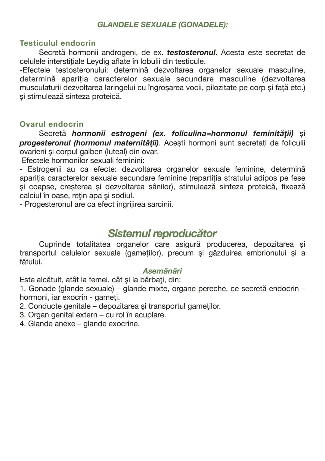 --- OCR Start ---
Testiculul endocrin
GLANDELE SEXUALE (GONADELE):
Secretă hormonii androgeni, de ex. testosteronul. Acesta este secretat de
