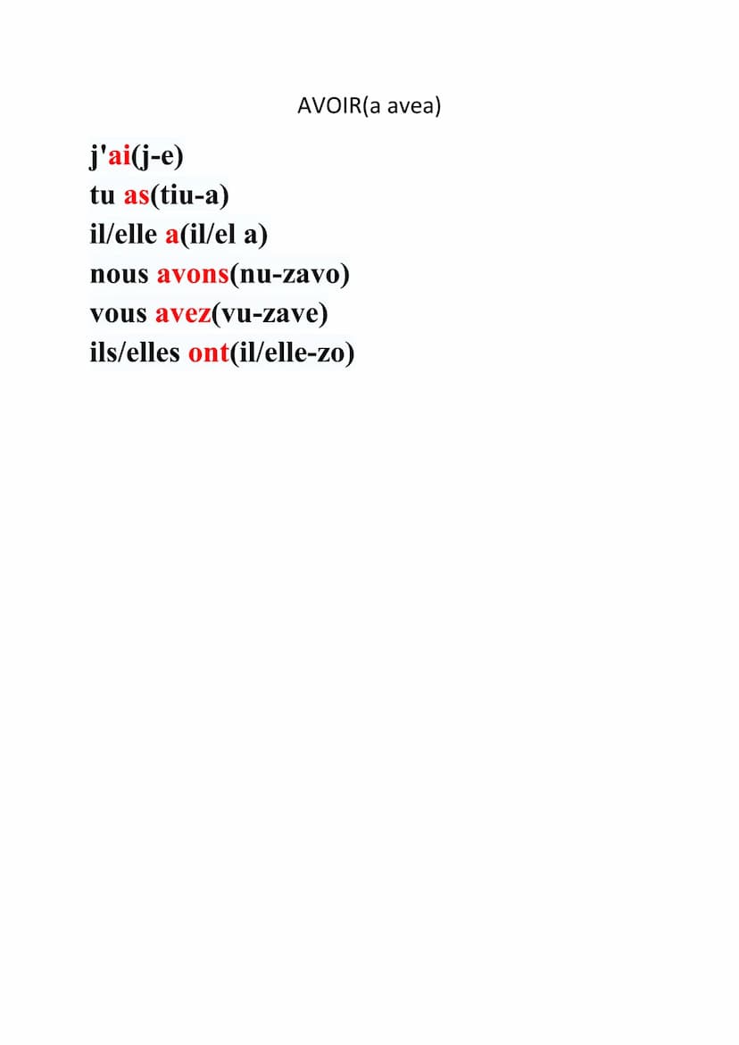 --- OCR Start ---
j'ai(j-e)
tu as(tiu-a)
il/elle a(il/el~a)
AVOIR(a avea)
nous avons (nu-zavo)
vous avez(vu-zave)
ils/elles ont(il/elle-zo)

