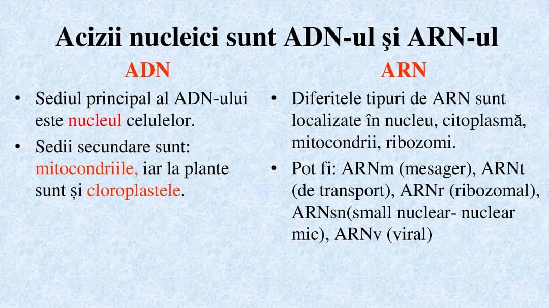 Acizii nucleici 