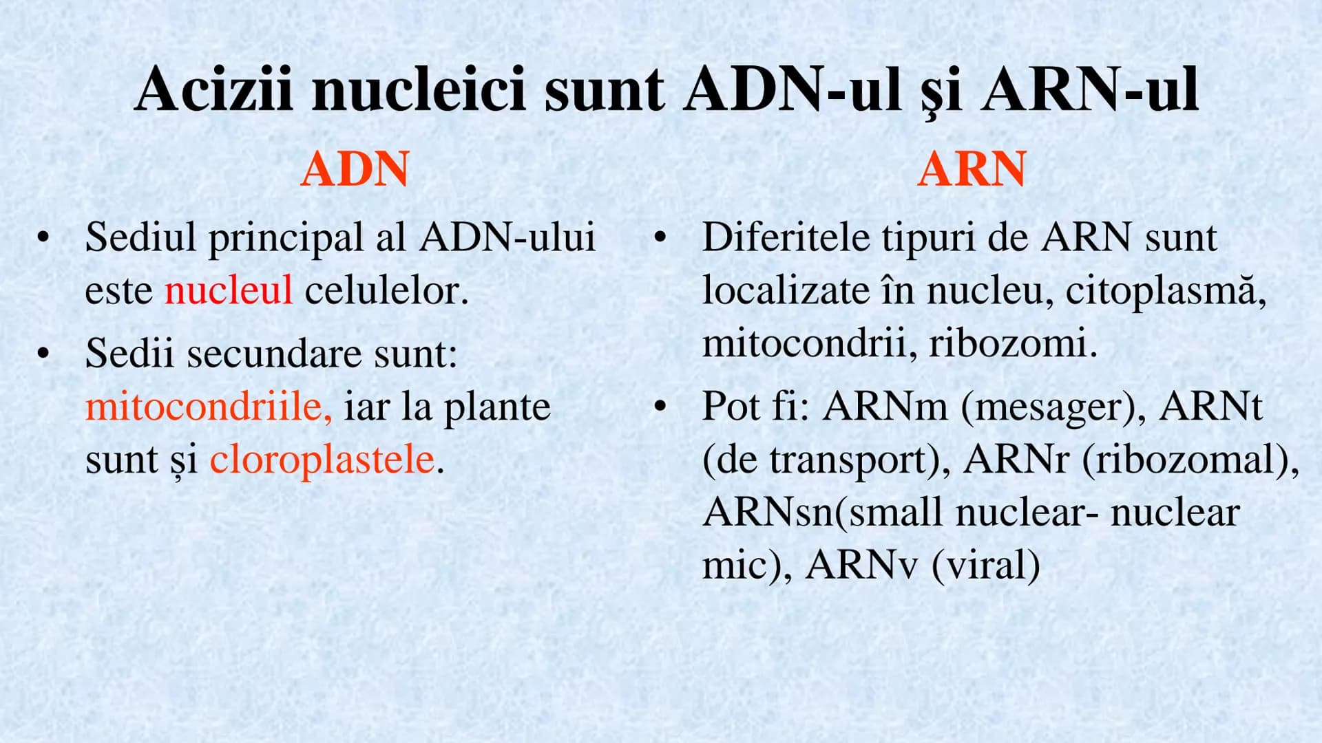 # Acizii nucleici sunt ADN-ul și ARN-ul

## ADN

- Sediul principal al ADN-ului
este nucleul celulelor.
- Sedii secundare sunt:
mitocondriil