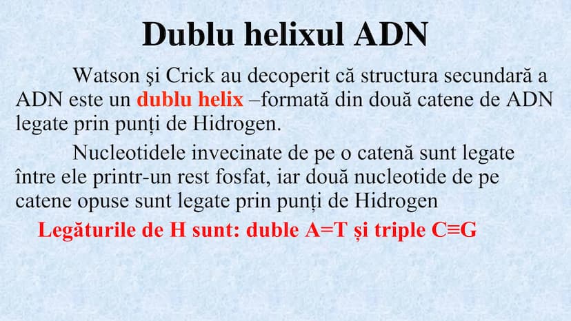 # Acizii nucleici sunt ADN-ul și ARN-ul

## ADN

- Sediul principal al ADN-ului
este nucleul celulelor.
- Sedii secundare sunt:
mitocondriil