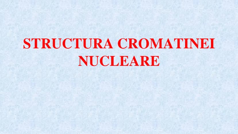 # Acizii nucleici sunt ADN-ul și ARN-ul

## ADN

- Sediul principal al ADN-ului
este nucleul celulelor.
- Sedii secundare sunt:
mitocondriil