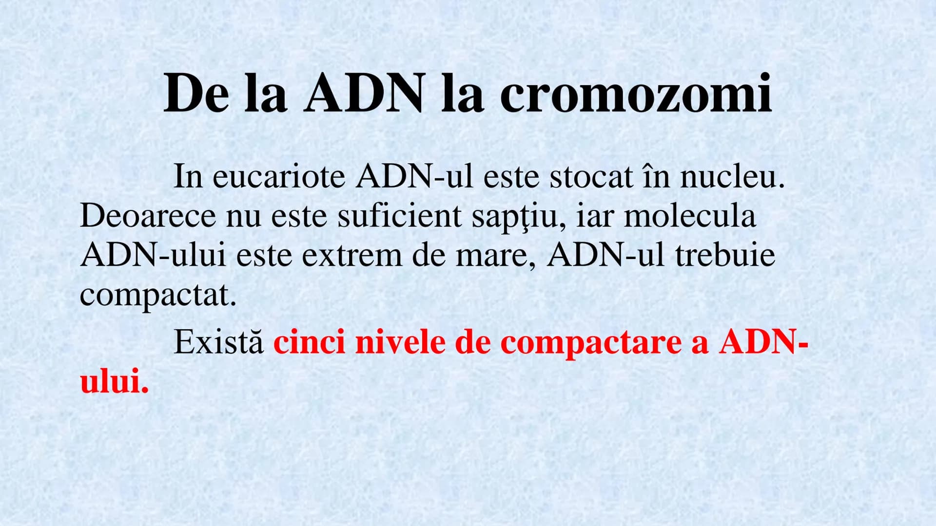 # Acizii nucleici sunt ADN-ul și ARN-ul

## ADN

- Sediul principal al ADN-ului
este nucleul celulelor.
- Sedii secundare sunt:
mitocondriil