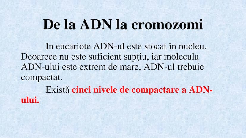 # Acizii nucleici sunt ADN-ul și ARN-ul

## ADN

- Sediul principal al ADN-ului
este nucleul celulelor.
- Sedii secundare sunt:
mitocondriil