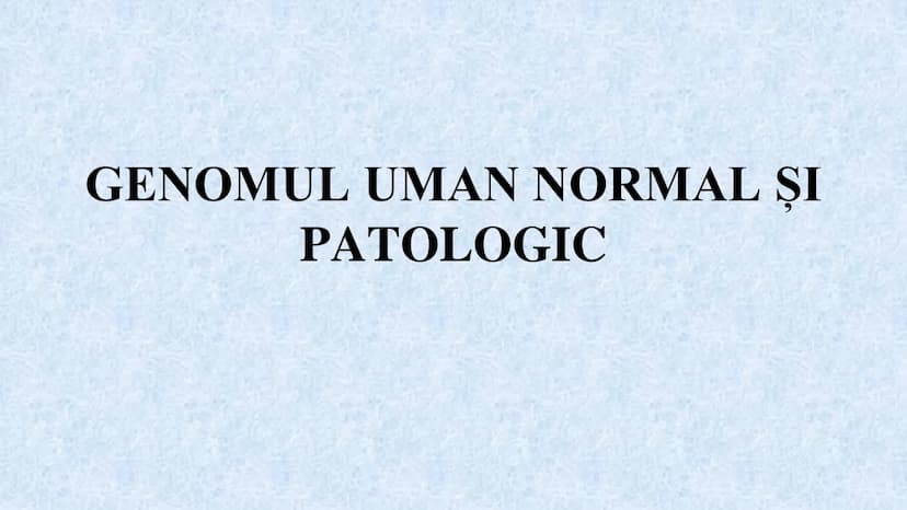 # Acizii nucleici sunt ADN-ul și ARN-ul

## ADN

- Sediul principal al ADN-ului
este nucleul celulelor.
- Sedii secundare sunt:
mitocondriil
