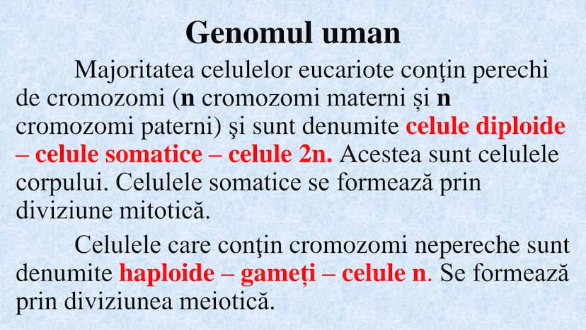 # Acizii nucleici sunt ADN-ul și ARN-ul

## ADN

- Sediul principal al ADN-ului
este nucleul celulelor.
- Sedii secundare sunt:
mitocondriil