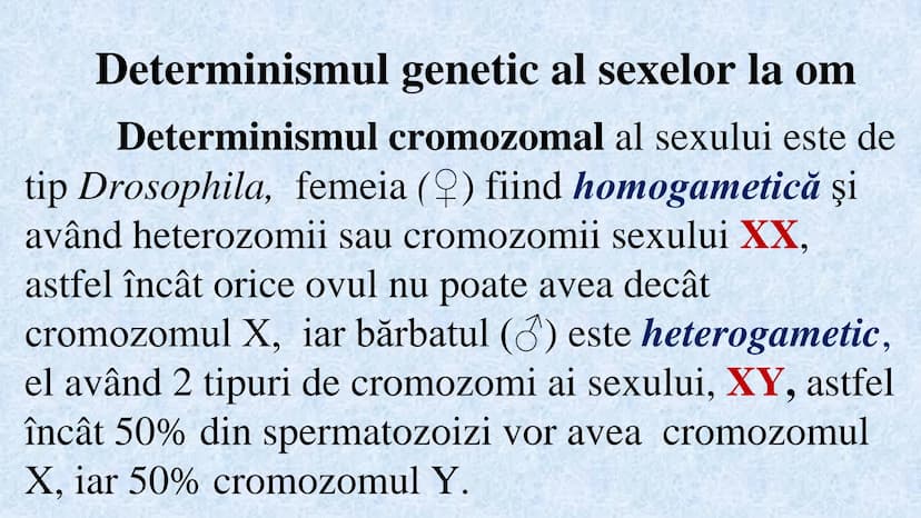 # Acizii nucleici sunt ADN-ul și ARN-ul

## ADN

- Sediul principal al ADN-ului
este nucleul celulelor.
- Sedii secundare sunt:
mitocondriil