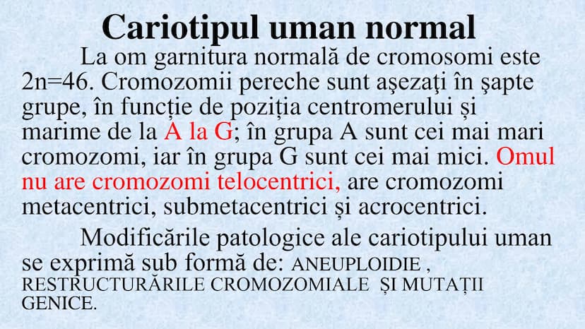 # Acizii nucleici sunt ADN-ul și ARN-ul

## ADN

- Sediul principal al ADN-ului
este nucleul celulelor.
- Sedii secundare sunt:
mitocondriil