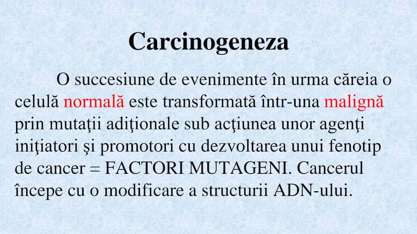 # Acizii nucleici sunt ADN-ul și ARN-ul

## ADN

- Sediul principal al ADN-ului
este nucleul celulelor.
- Sedii secundare sunt:
mitocondriil