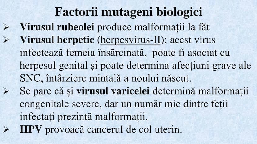 # Acizii nucleici sunt ADN-ul și ARN-ul

## ADN

- Sediul principal al ADN-ului
este nucleul celulelor.
- Sedii secundare sunt:
mitocondriil