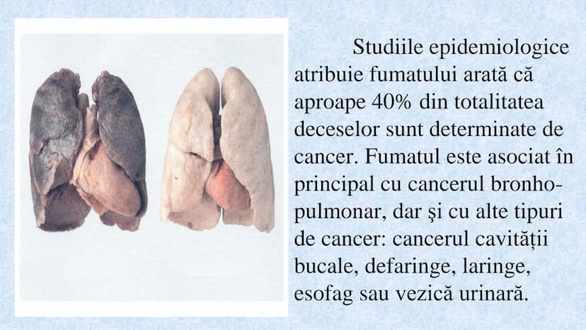 # Acizii nucleici sunt ADN-ul și ARN-ul

## ADN

- Sediul principal al ADN-ului
este nucleul celulelor.
- Sedii secundare sunt:
mitocondriil