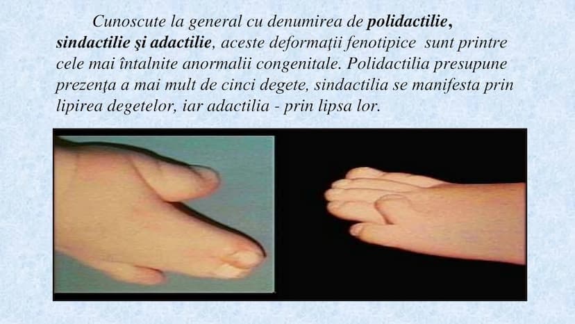 # Acizii nucleici sunt ADN-ul și ARN-ul

## ADN

- Sediul principal al ADN-ului
este nucleul celulelor.
- Sedii secundare sunt:
mitocondriil