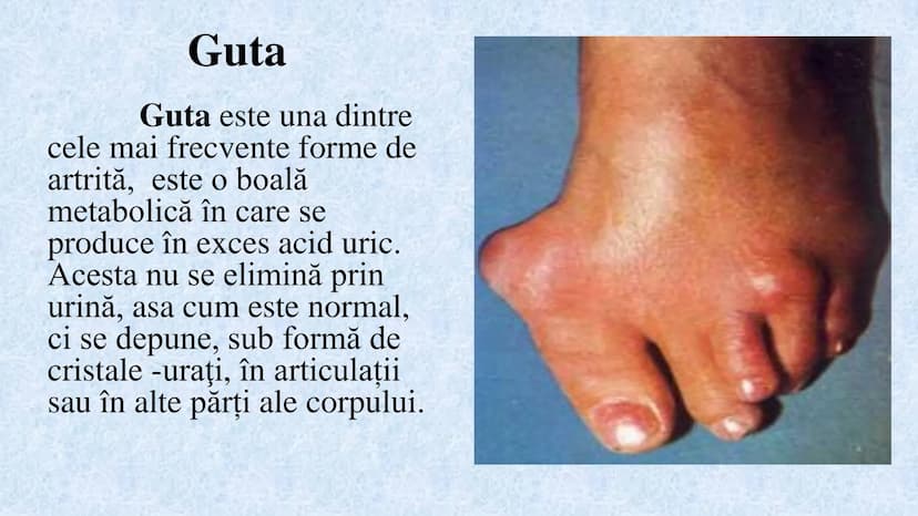 # Acizii nucleici sunt ADN-ul și ARN-ul

## ADN

- Sediul principal al ADN-ului
este nucleul celulelor.
- Sedii secundare sunt:
mitocondriil