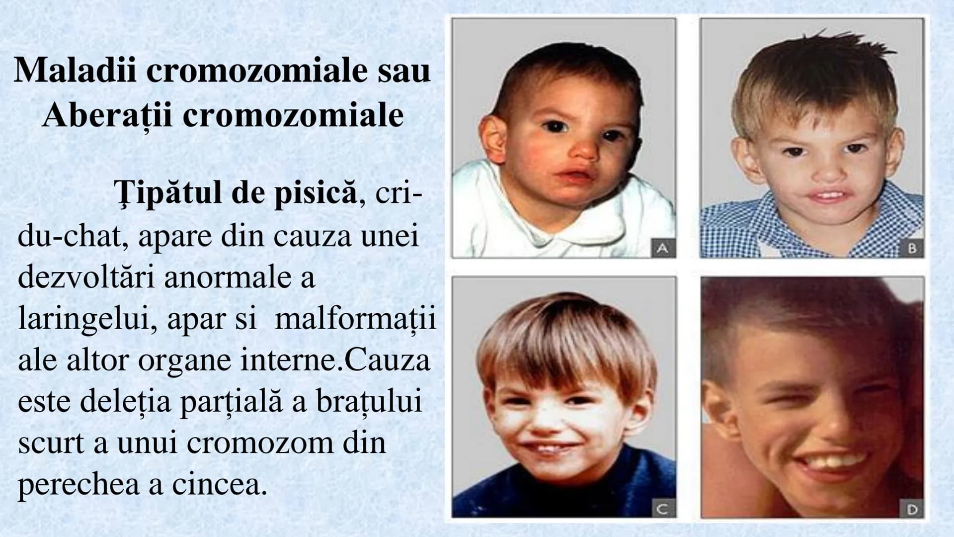 # Acizii nucleici sunt ADN-ul și ARN-ul

## ADN

- Sediul principal al ADN-ului
este nucleul celulelor.
- Sedii secundare sunt:
mitocondriil