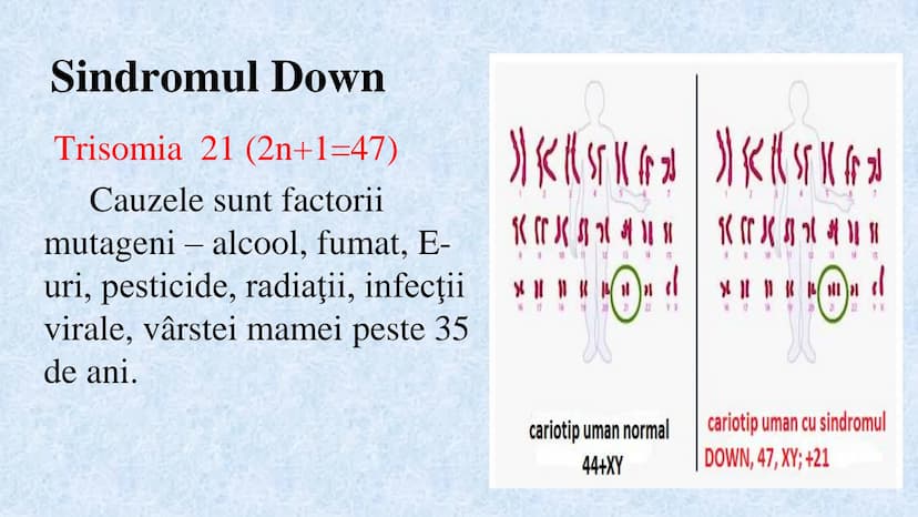 # Acizii nucleici sunt ADN-ul și ARN-ul

## ADN

- Sediul principal al ADN-ului
este nucleul celulelor.
- Sedii secundare sunt:
mitocondriil