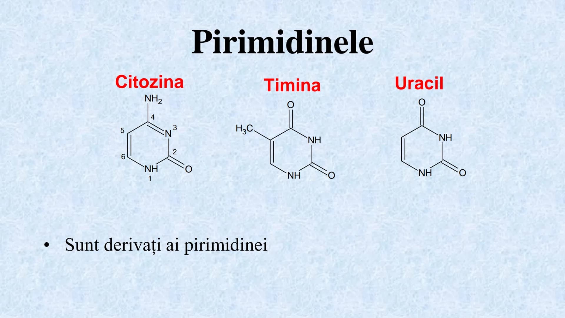 # Acizii nucleici sunt ADN-ul și ARN-ul

## ADN

- Sediul principal al ADN-ului
este nucleul celulelor.
- Sedii secundare sunt:
mitocondriil